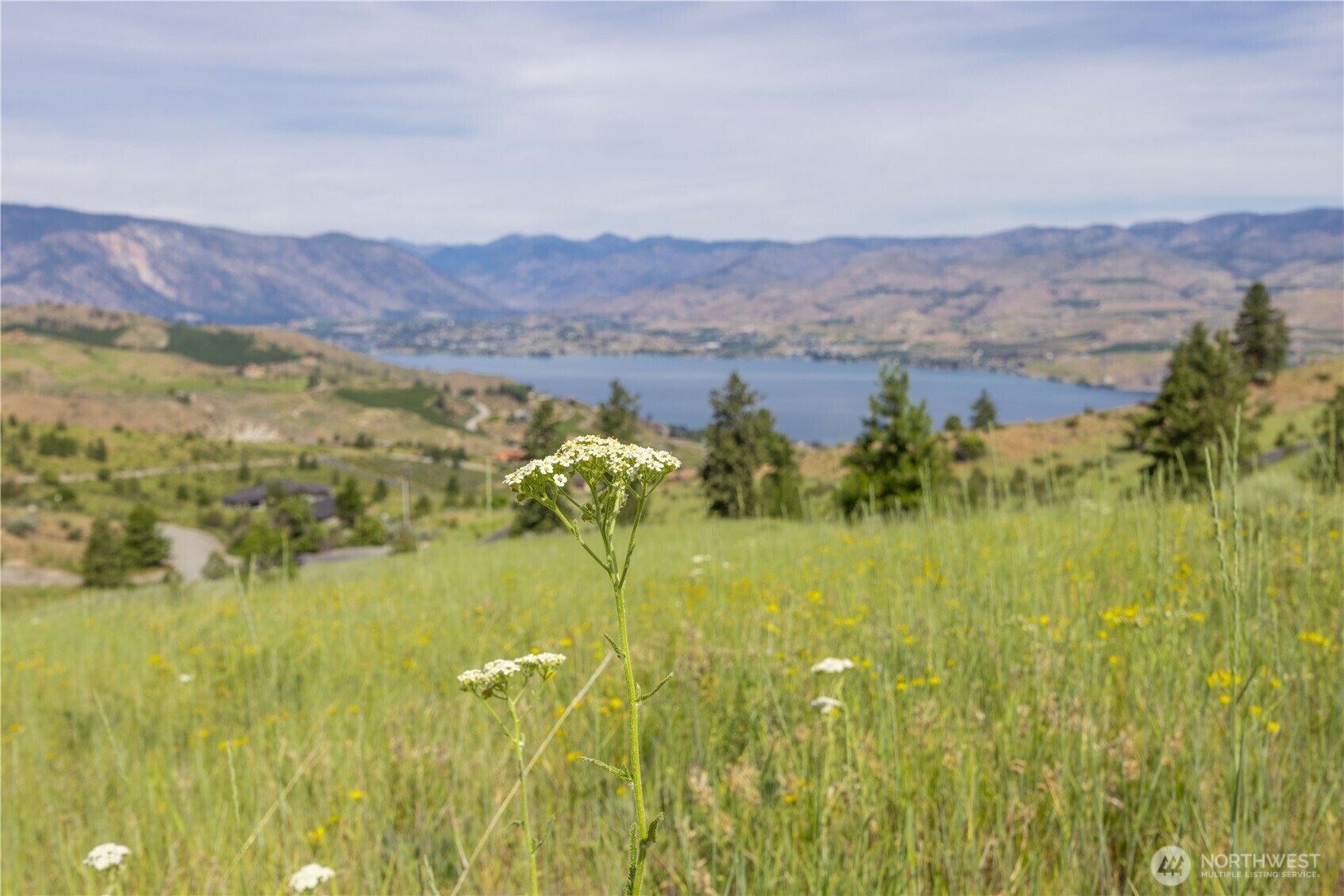 Property Photo: 23 Eagle Crest (Lot 23) Road WA 98816