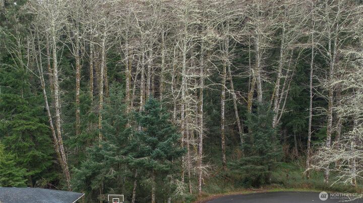 275  Pearsall Street SE  Ocean Shores WA 98569 photo