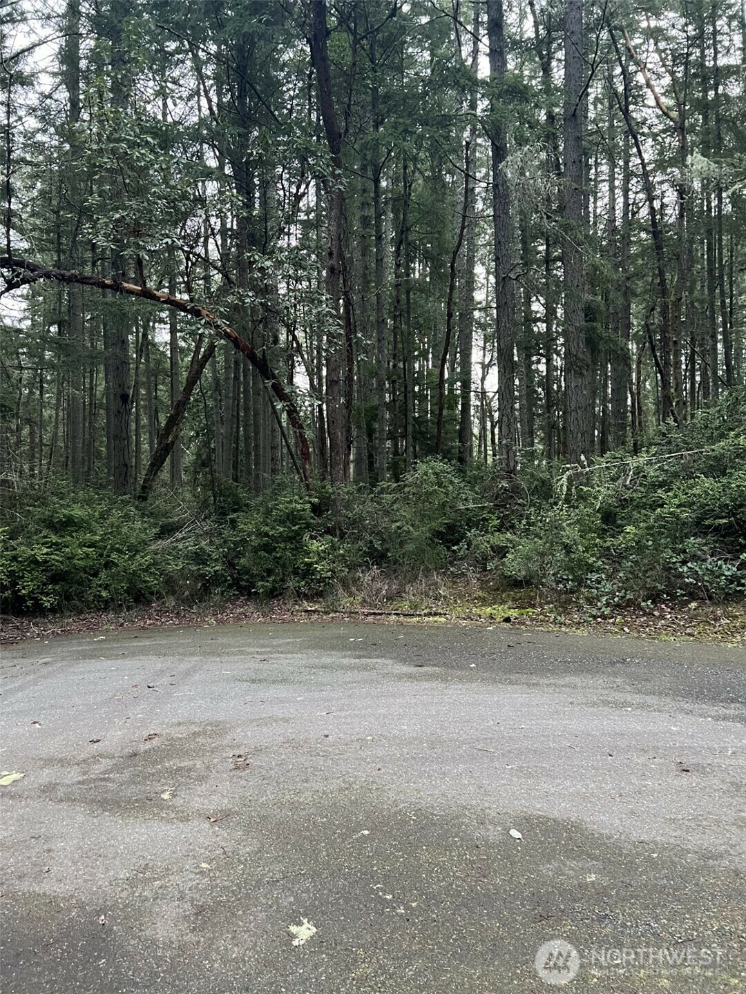 8811  127th Avenue Ct  Anderson Island WA 98303 photo