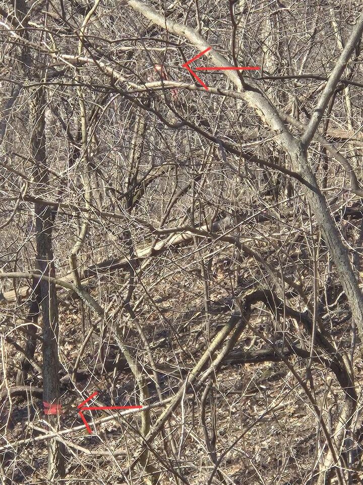 Parcel 534.h Tomlinson Road  Poynette WI 53955 photo