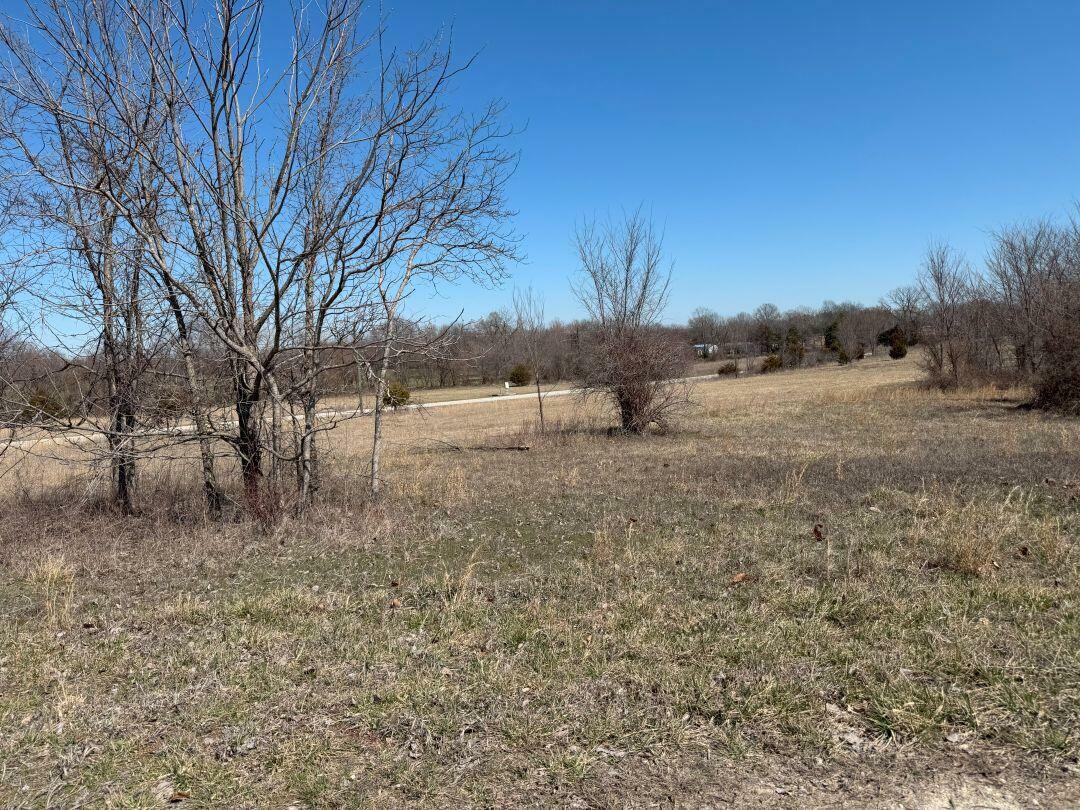 Tbd Lot 55 Blockade Village North  Seligman MO 65745 photo