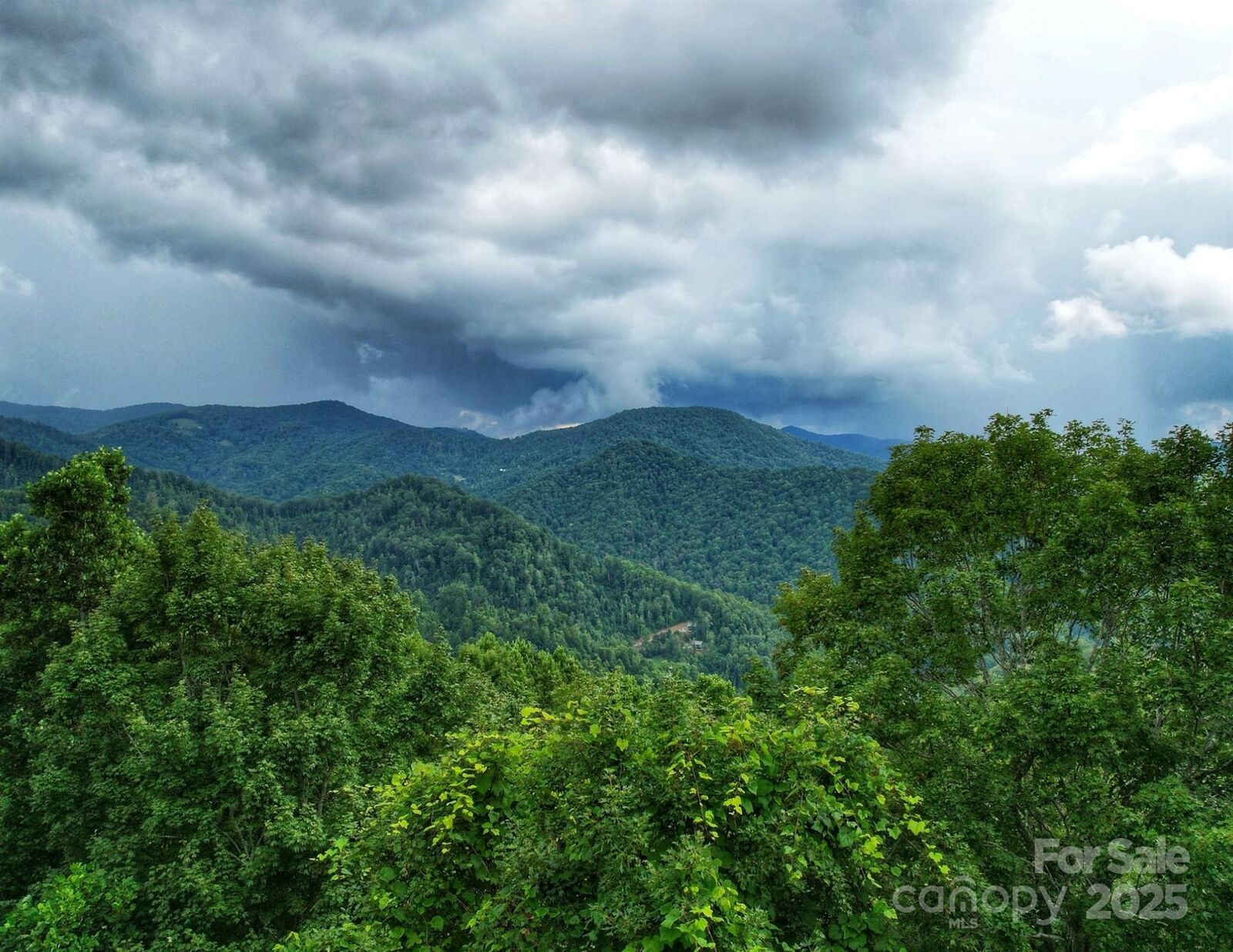Property Photo:  00 Windy Gap Road Tract B  NC 28754