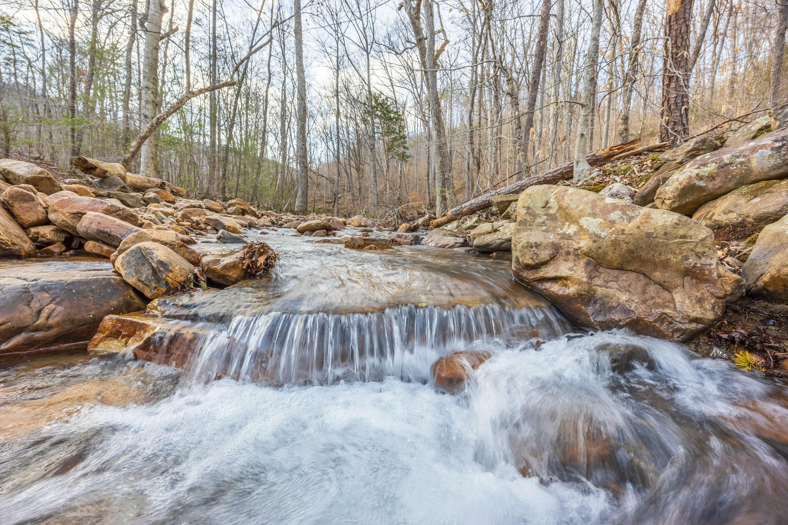 Property Photo:  0 Bench Road  TN 37367 