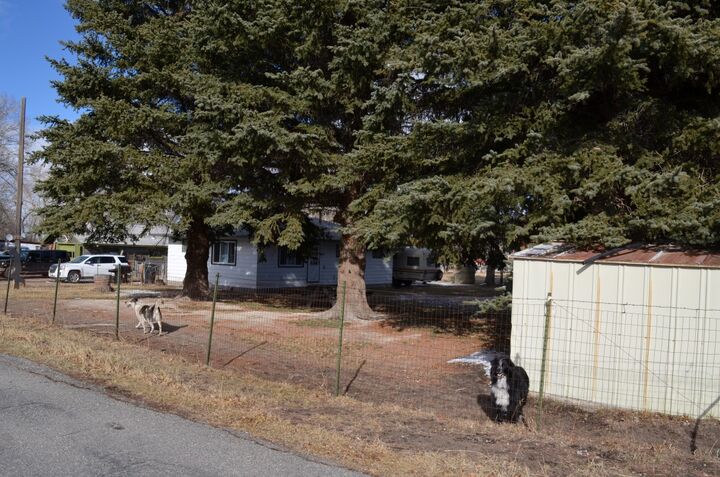 Property Photo:  117 Rice Drive  MT 59711 