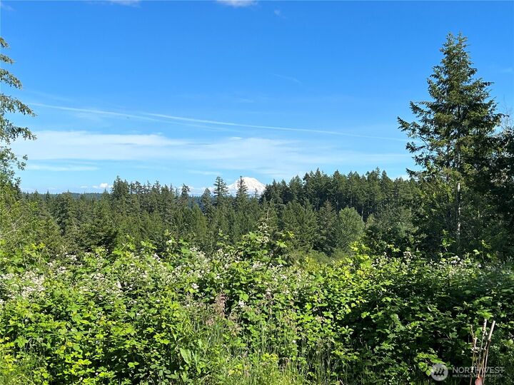 Property Photo: 60 E Northridge Court WA 98524