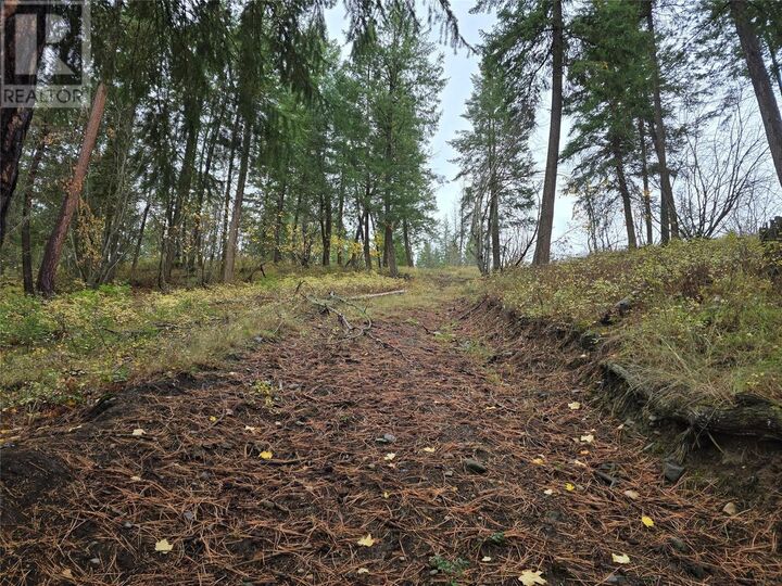 Property Photo:  5135 Salmon River Road  BC V0E 1B4 
