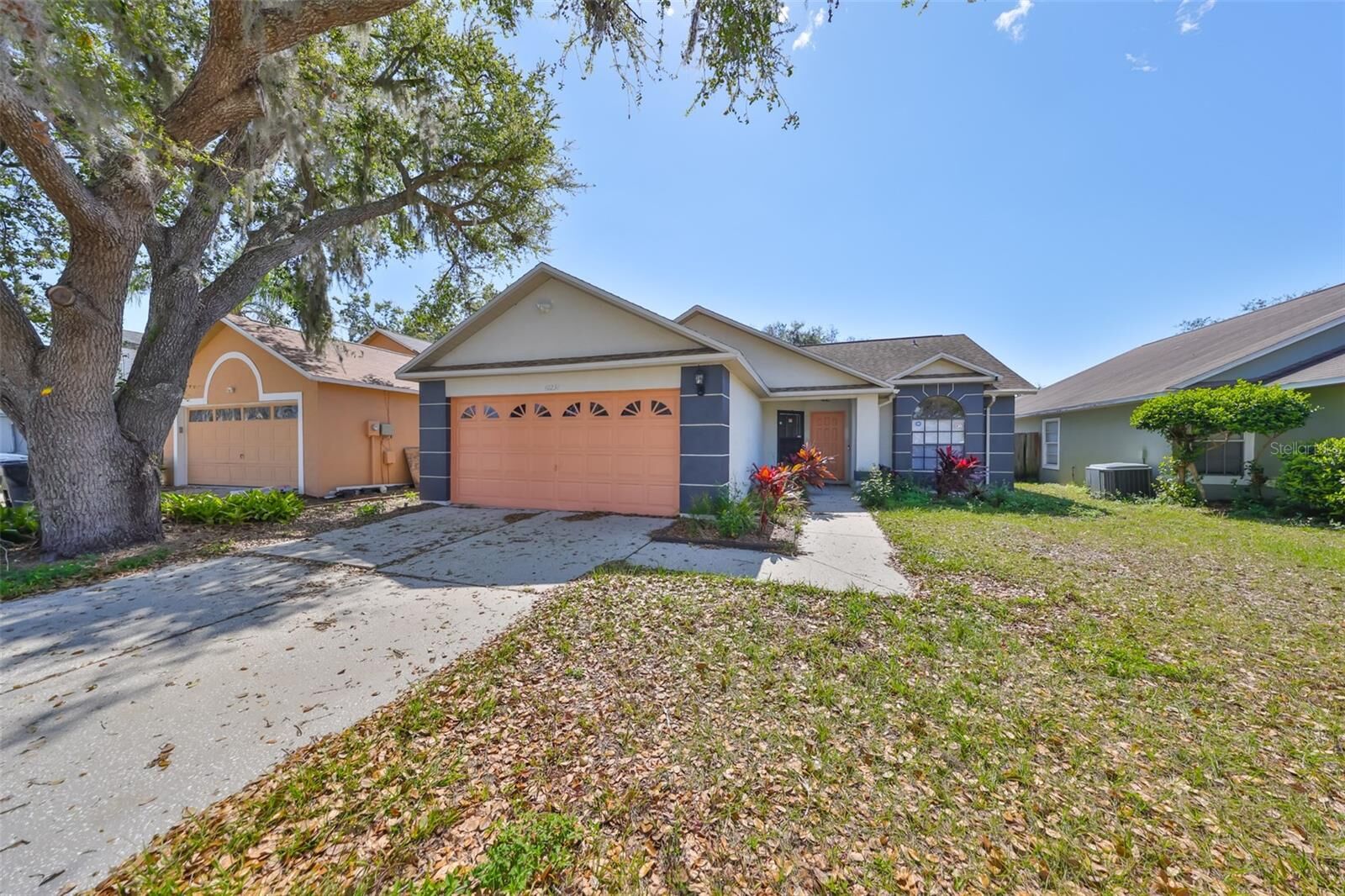 Property Photo:  10231 Allenwood Drive  FL 33569 
