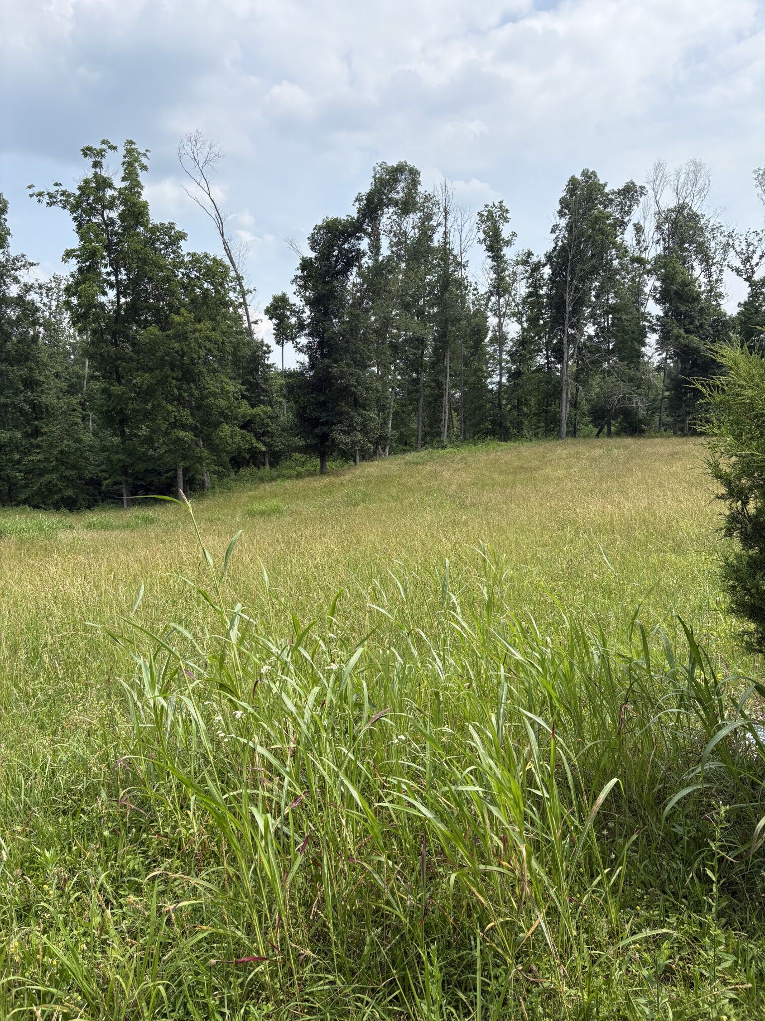 Property Photo:  0 Backbone Rd  TN 38583 