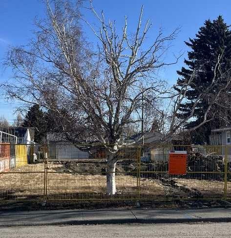 1116 Radnor Avenue NE  Calgary AB T2E 5H6 photo