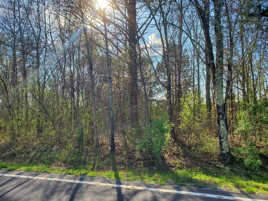 Property Photo: Lot 1 Highway 304 TN 37322