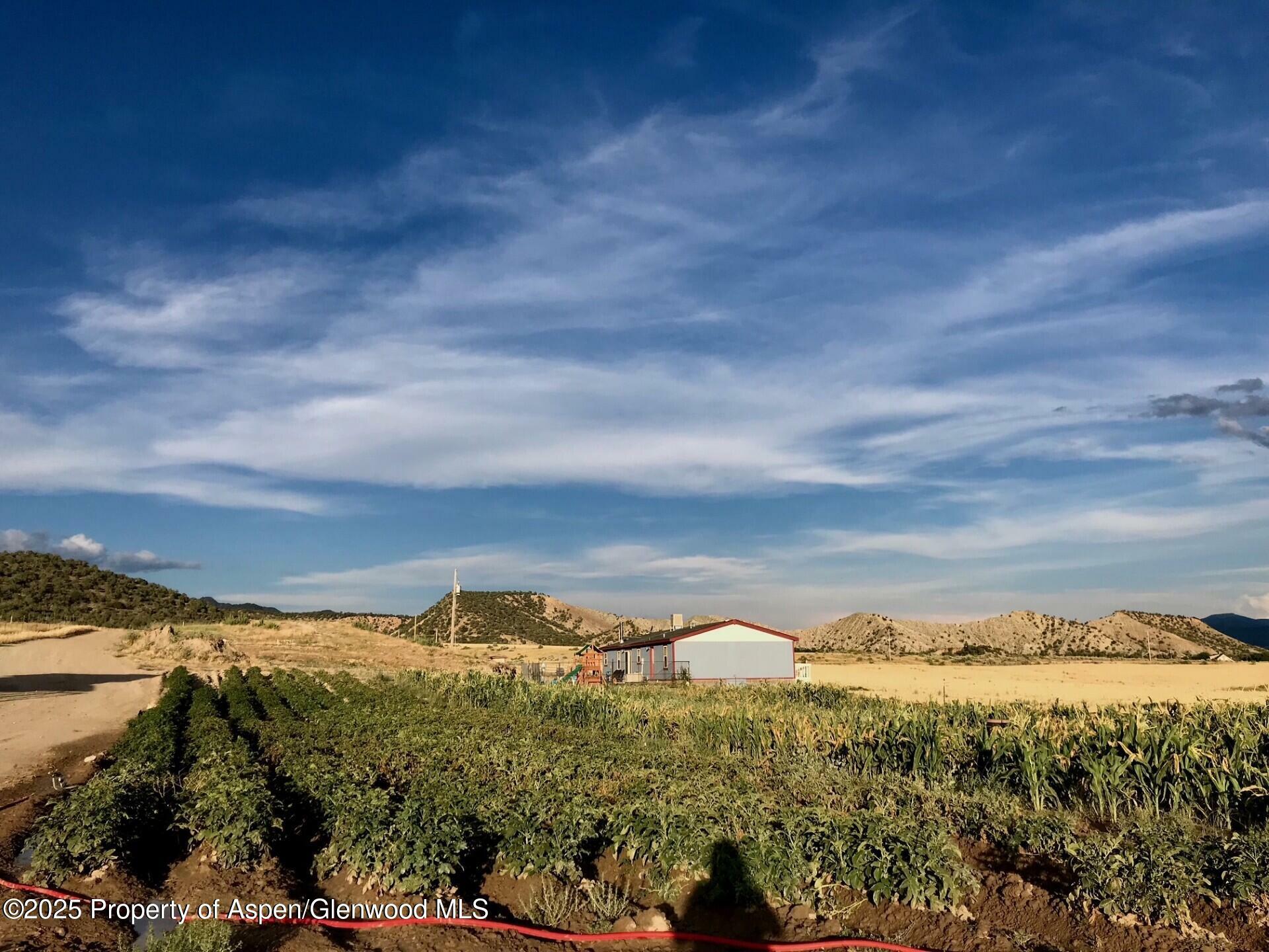 Property Photo: 1175 Jewell Lane CO 81650