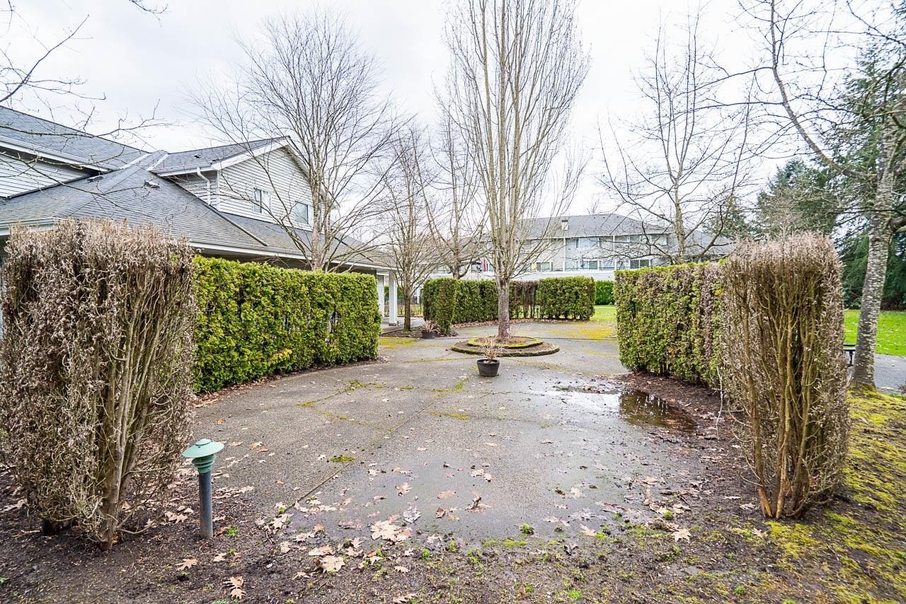 Photo de la propriété: 13660 84 Avenue 1 BC V3W 0T6