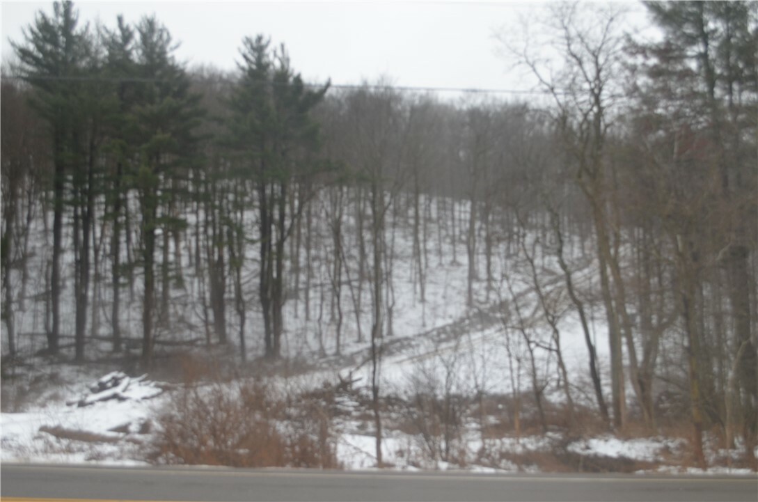 Property Photo: Rt-53 NY 14873