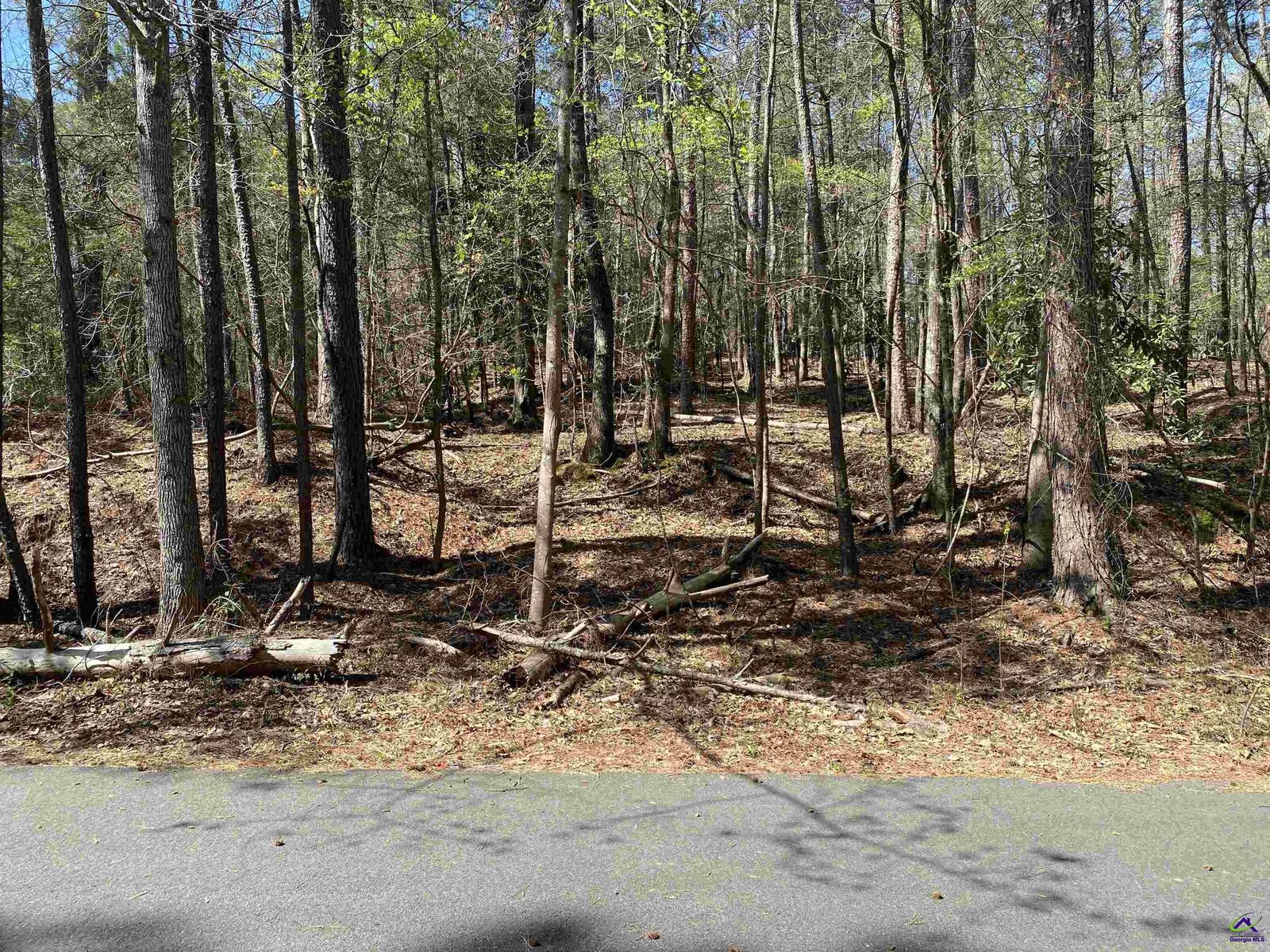 Property Photo:  0 Sandra Drive  GA 31032 