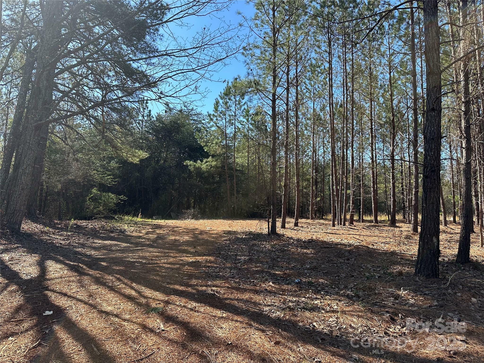 Property Photo: 4313 East Maiden Road NC 28650