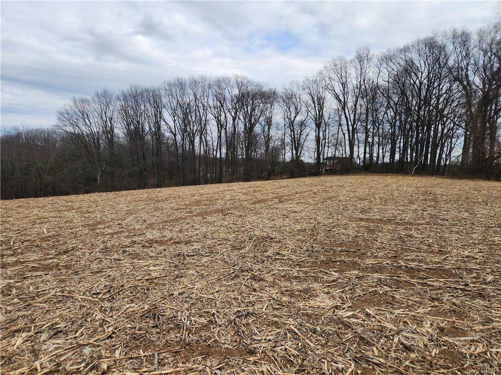 8646 Edelweiss Road Lot 2 3 4  Weisenberg Twp PA 18066 photo