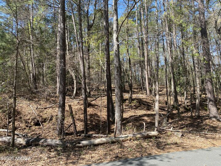 Property Photo:  0 Sandra Drive  GA 31032 