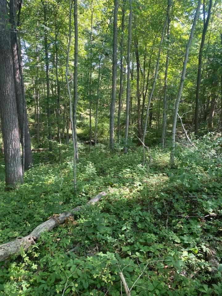 Property Photo:  0 Hill Road  IN 47341 
