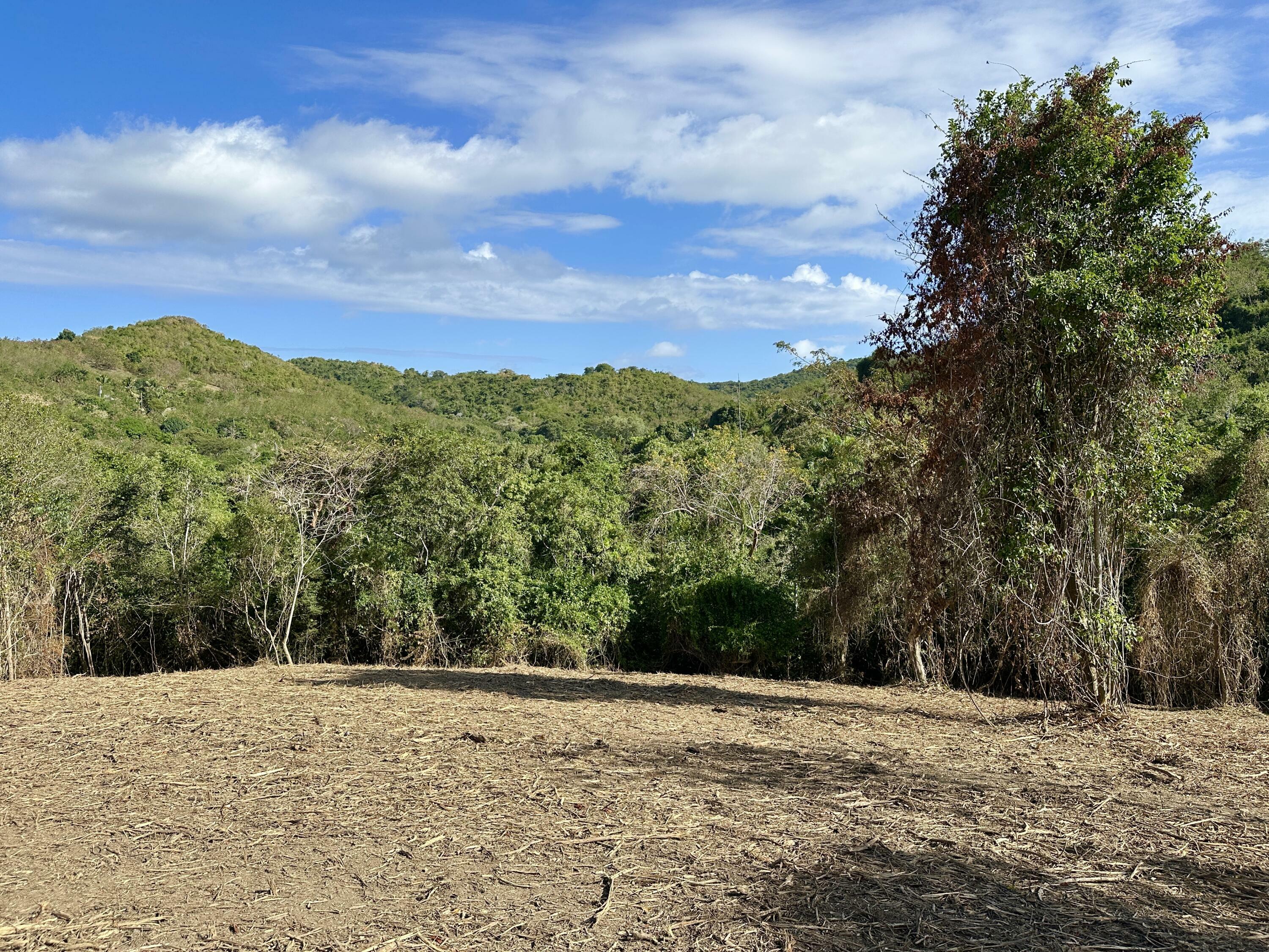 Property Photo: Rem 9A Montpellier Pr VI 00840