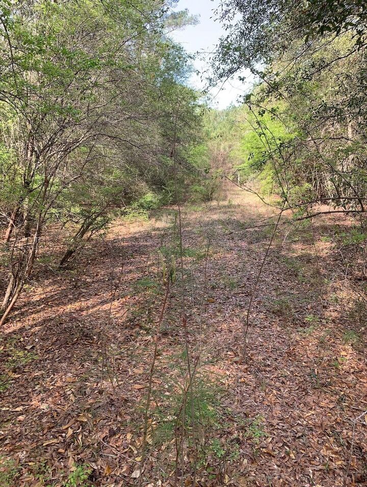 Property Photo:  Xxx Works Road  FL 32427 