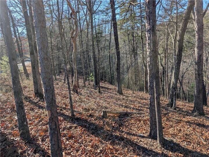 Property Photo: 1400 Foxhound Trail NE GA 30734