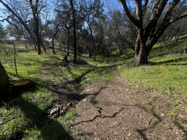 Property Photo:  18907 Shake Ridge Rd  CA 95685 