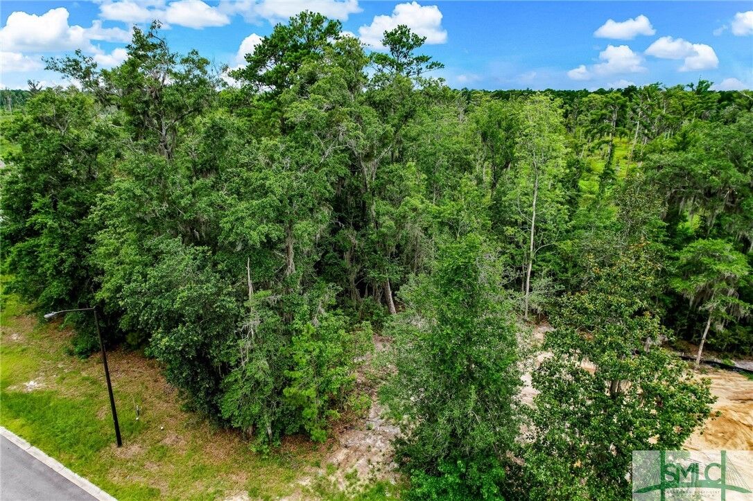 Property Photo:  7 Linden Hill Court  GA 31405 