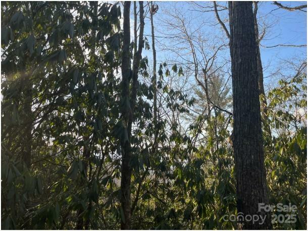 Property Photo: 00 Rules Run Road 31A NC 28721