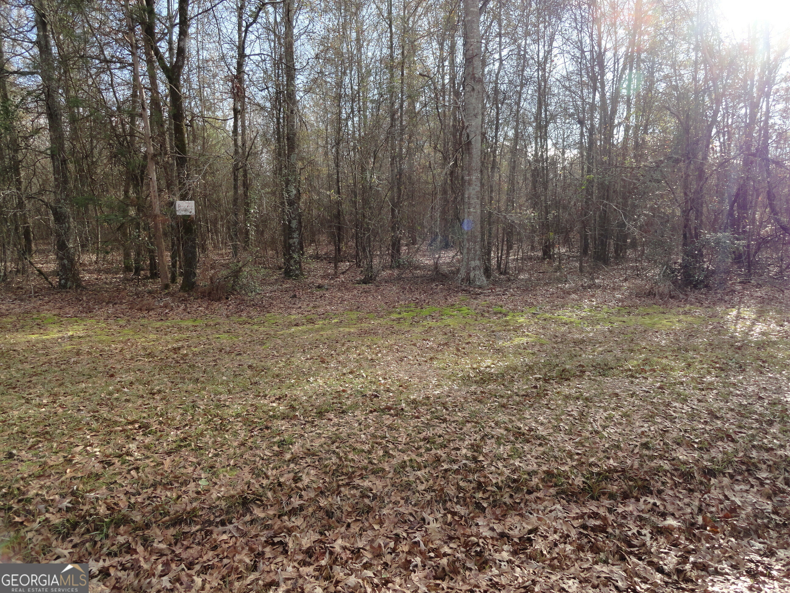 Property Photo:  1207 Highway 36 W  GA 30204 