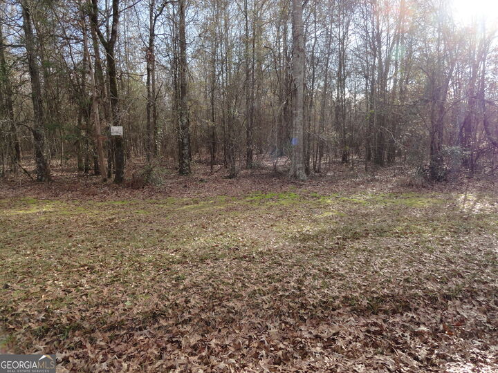 Property Photo: 1207 Highway 36 W GA 30204