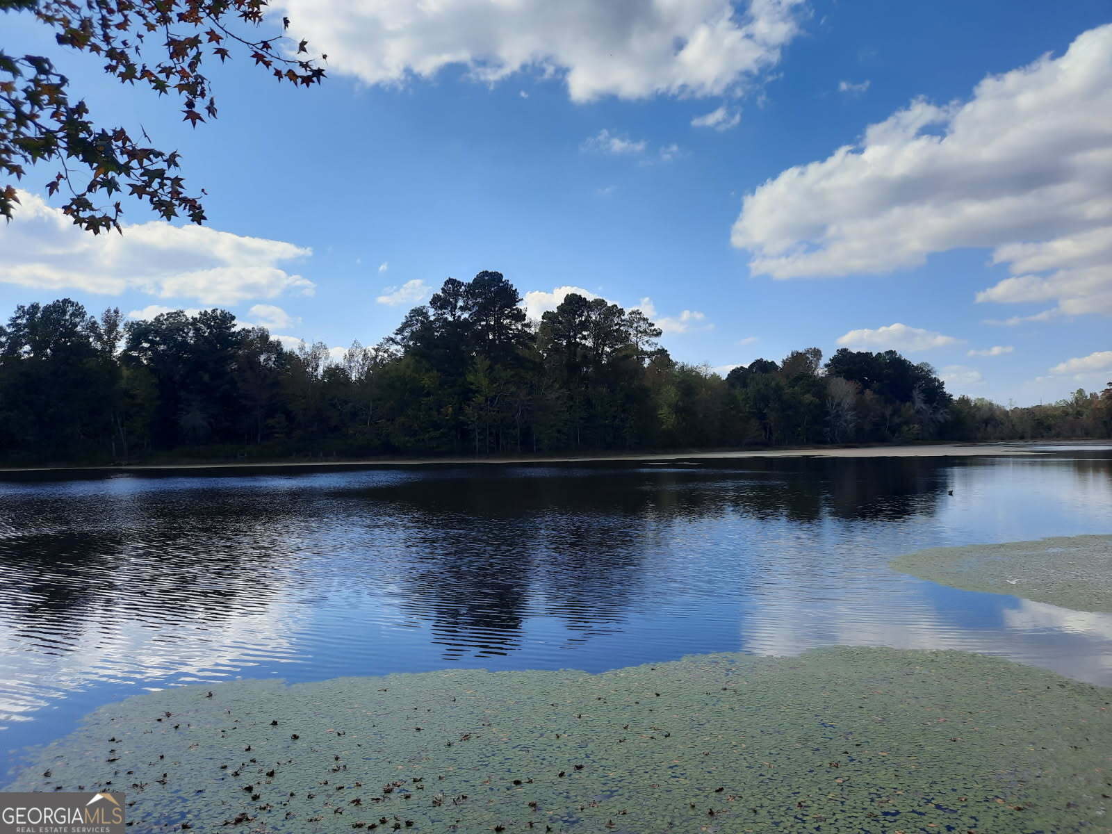 Property Photo: 773 Moose Club Road GA 30824