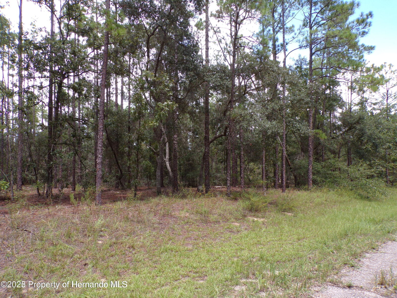 Property Photo:  629 E Marquette Lane  FL 34434 