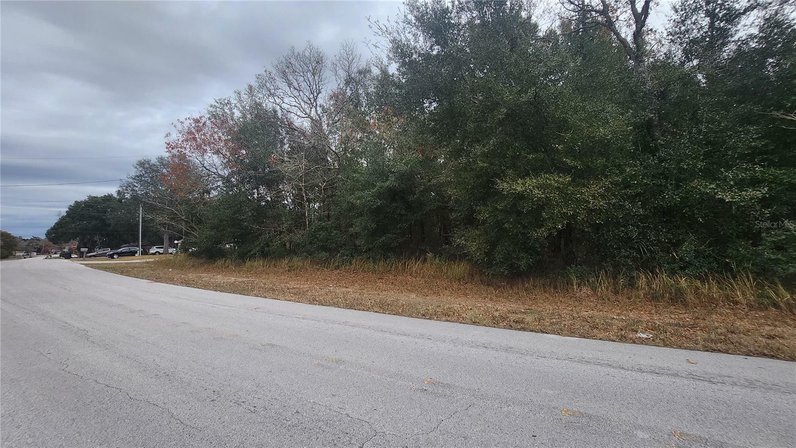 000 Water Road  Ocala FL 34472 photo