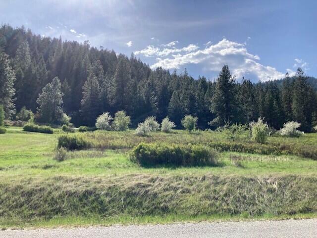 Property Photo: 20xx Northport Flat Creek Rd WA 99141