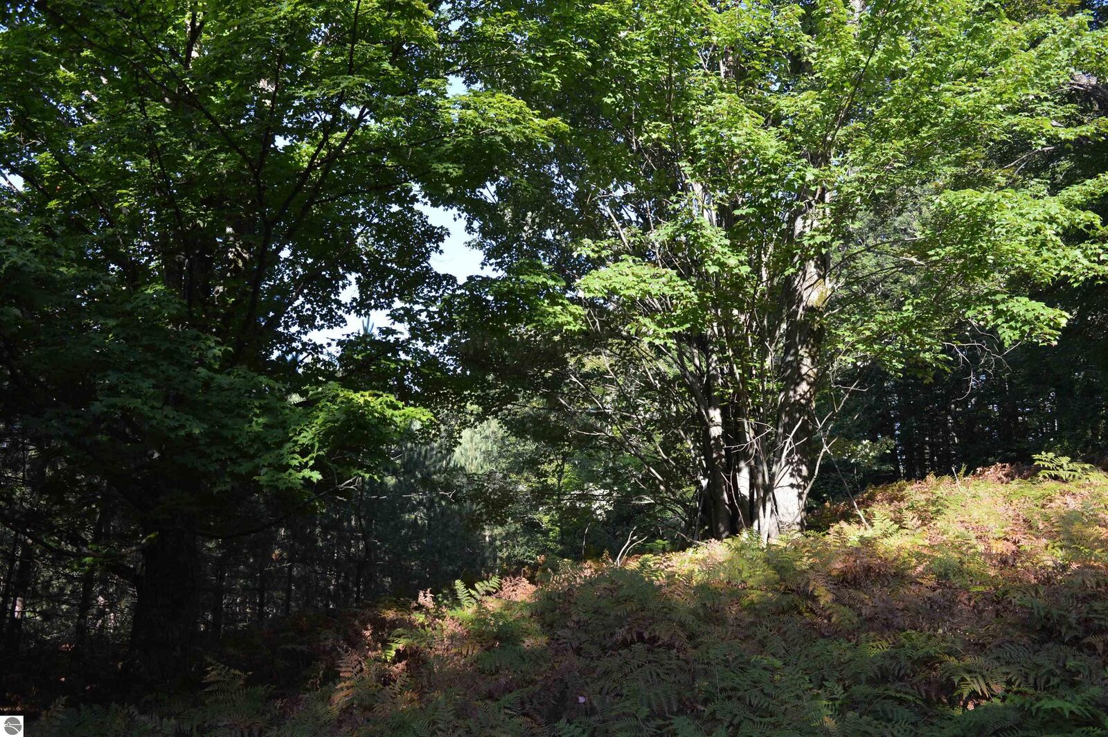 Property Photo:  W Leonard Road  MI 49659 