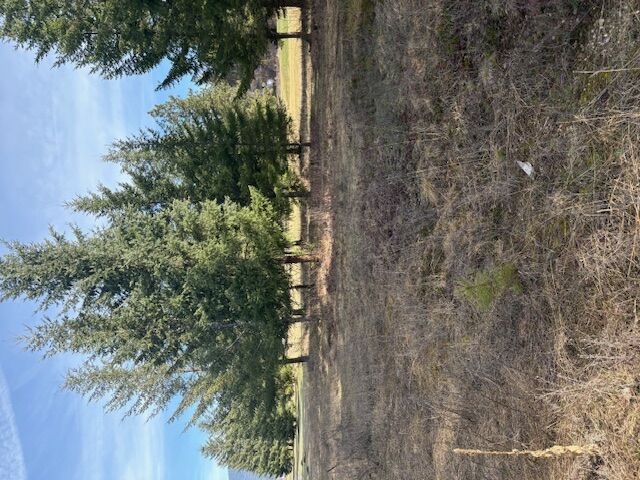 Property Photo:  1 Fairview Drive  MT 59866 