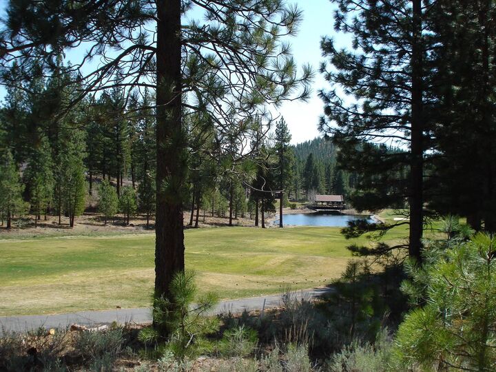 Property Photo:  404 Blacktail Ridge  CA 96122 