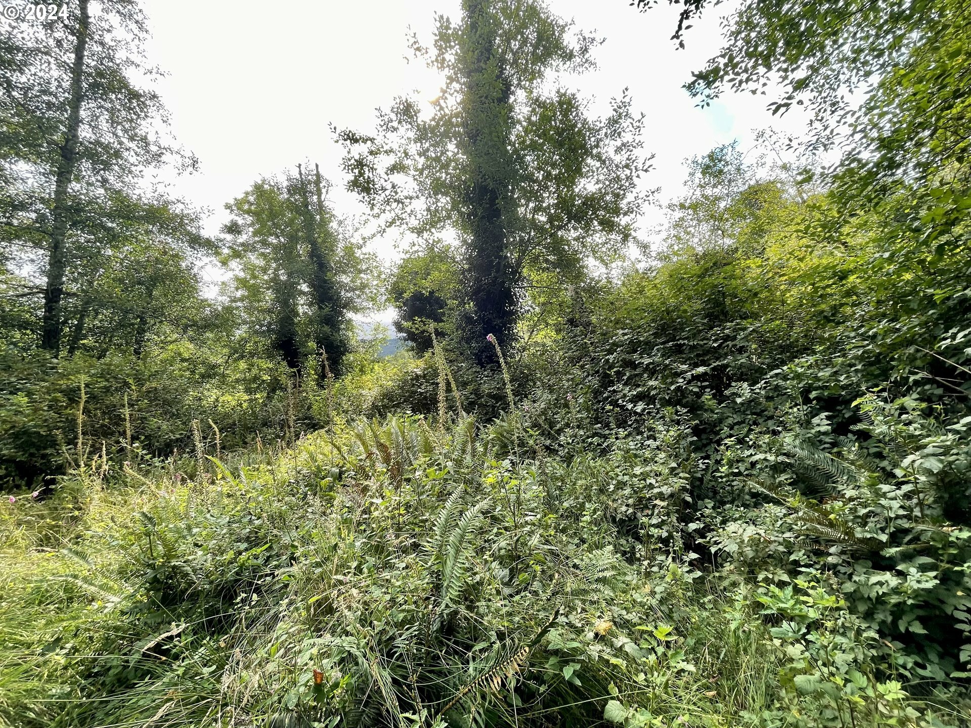 Property Photo: Campbell Rd OR 97415