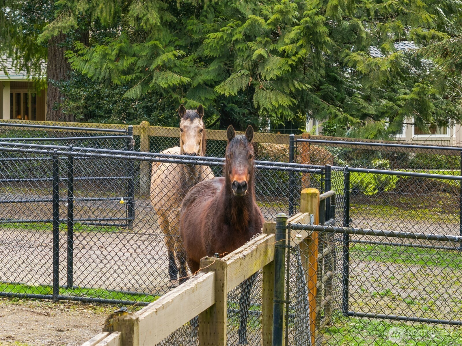 Property Photo: 21712 NE 144th Place WA 98077