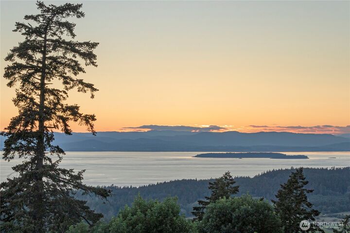 185  Lucky Way  Friday Harbor WA 98250 photo