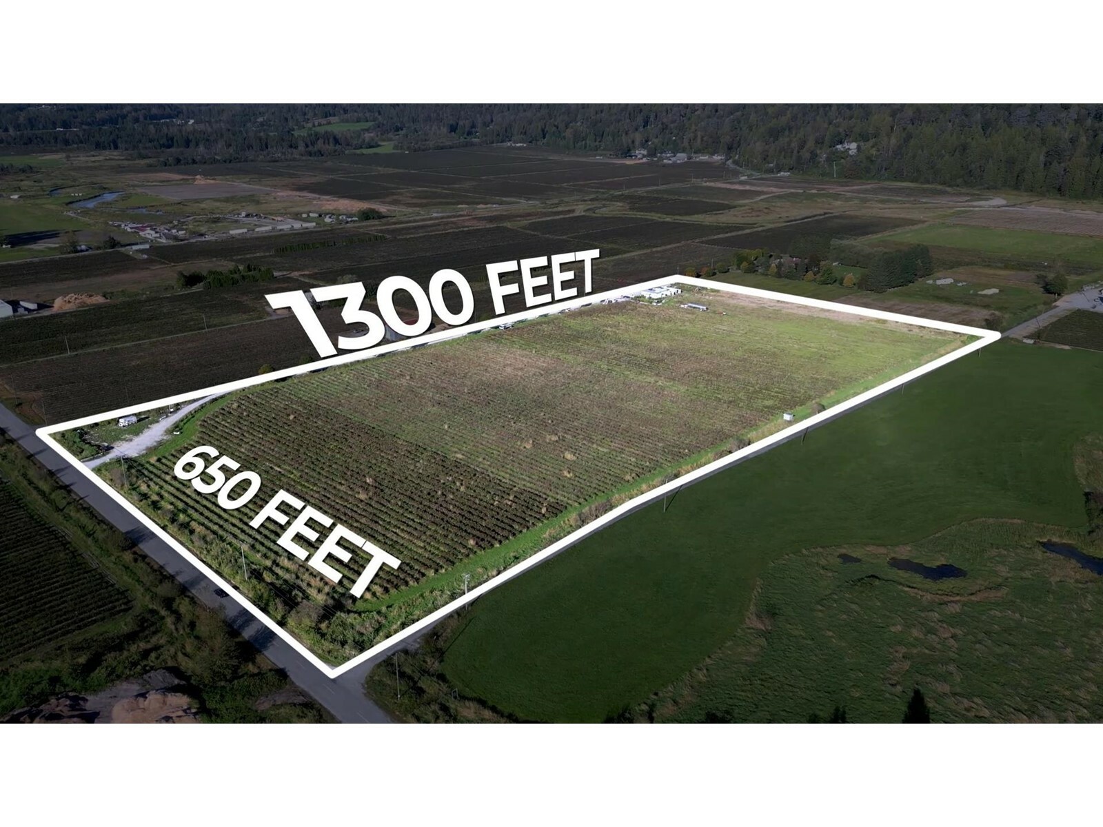 10594 Farms  Mission BC V2V 4J1 photo
