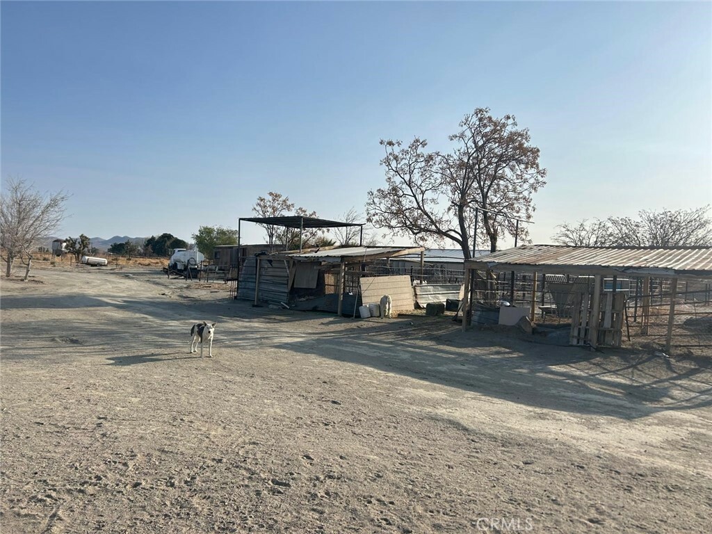 Property Photo: 20001 Grey Mountain CA 92301