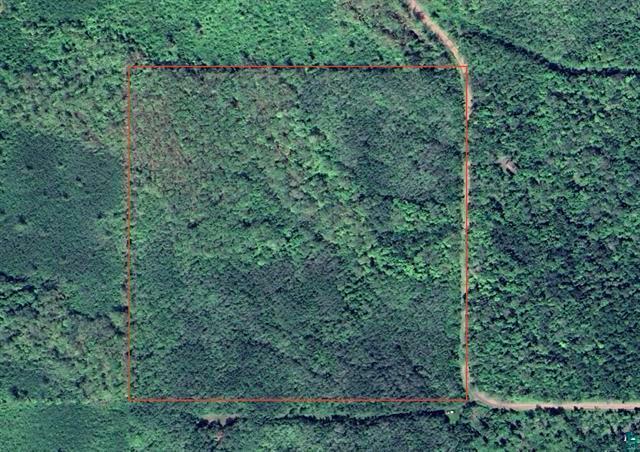 Property Photo: Xxx Clover Cemetary Rd WI 54844