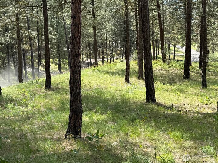 Property Photo:  21  Twin Lakes Dr.  WA 98862 