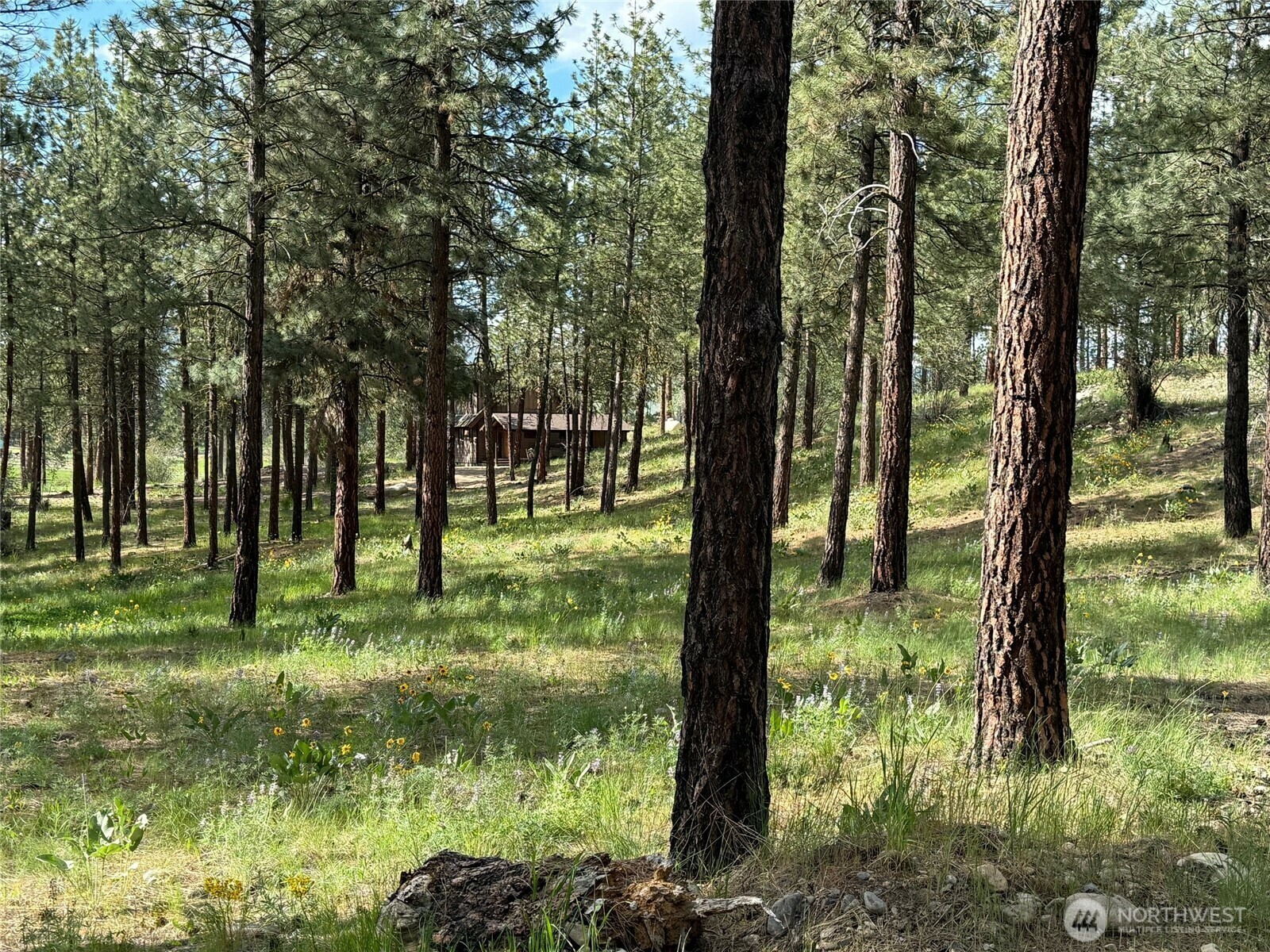 Property Photo: 21 Twin Lakes Dr. WA 98862