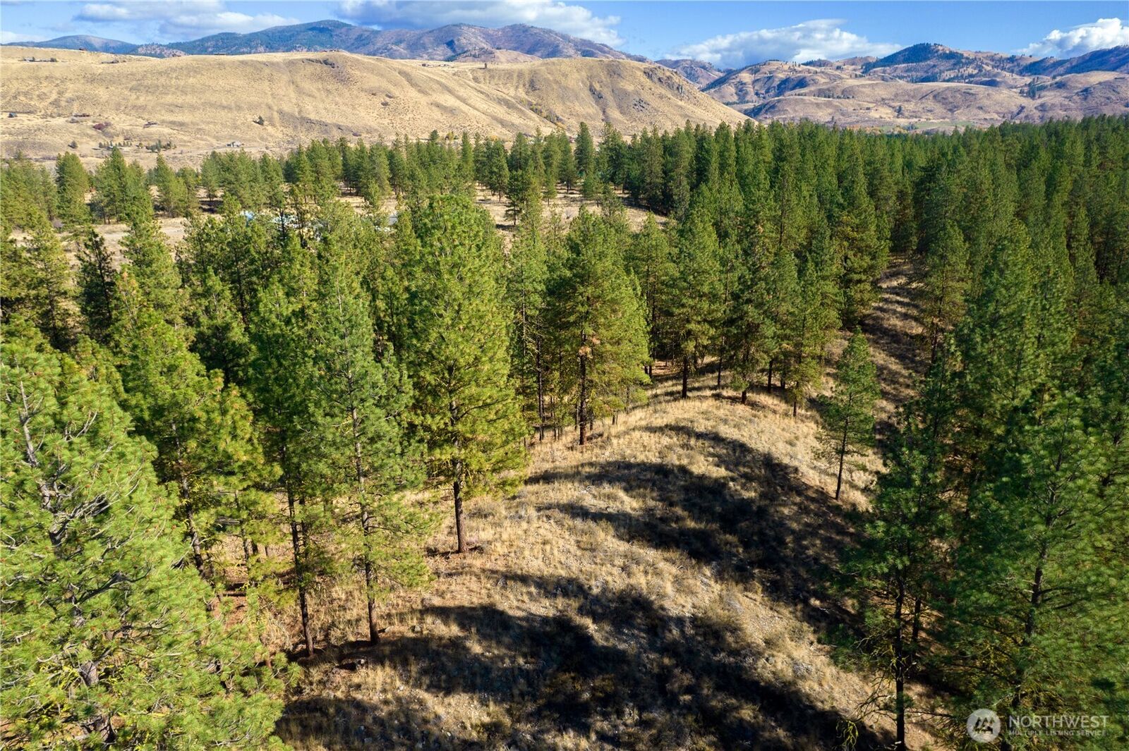 Property Photo:  18  Wild Rose Road  WA 98862 