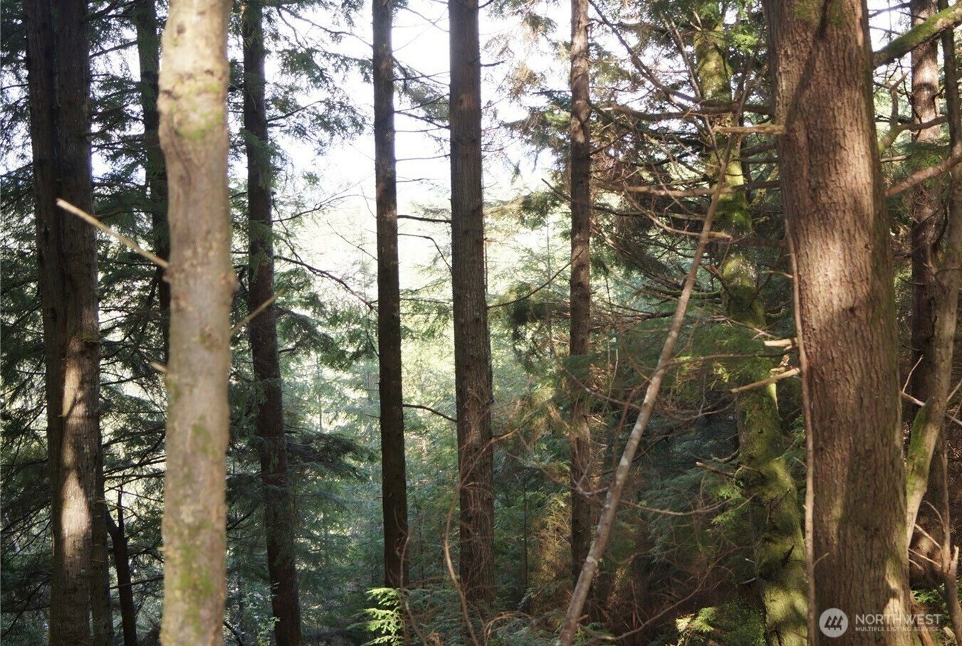 Property Photo: 80 Cougar Hills Lane WA 98563