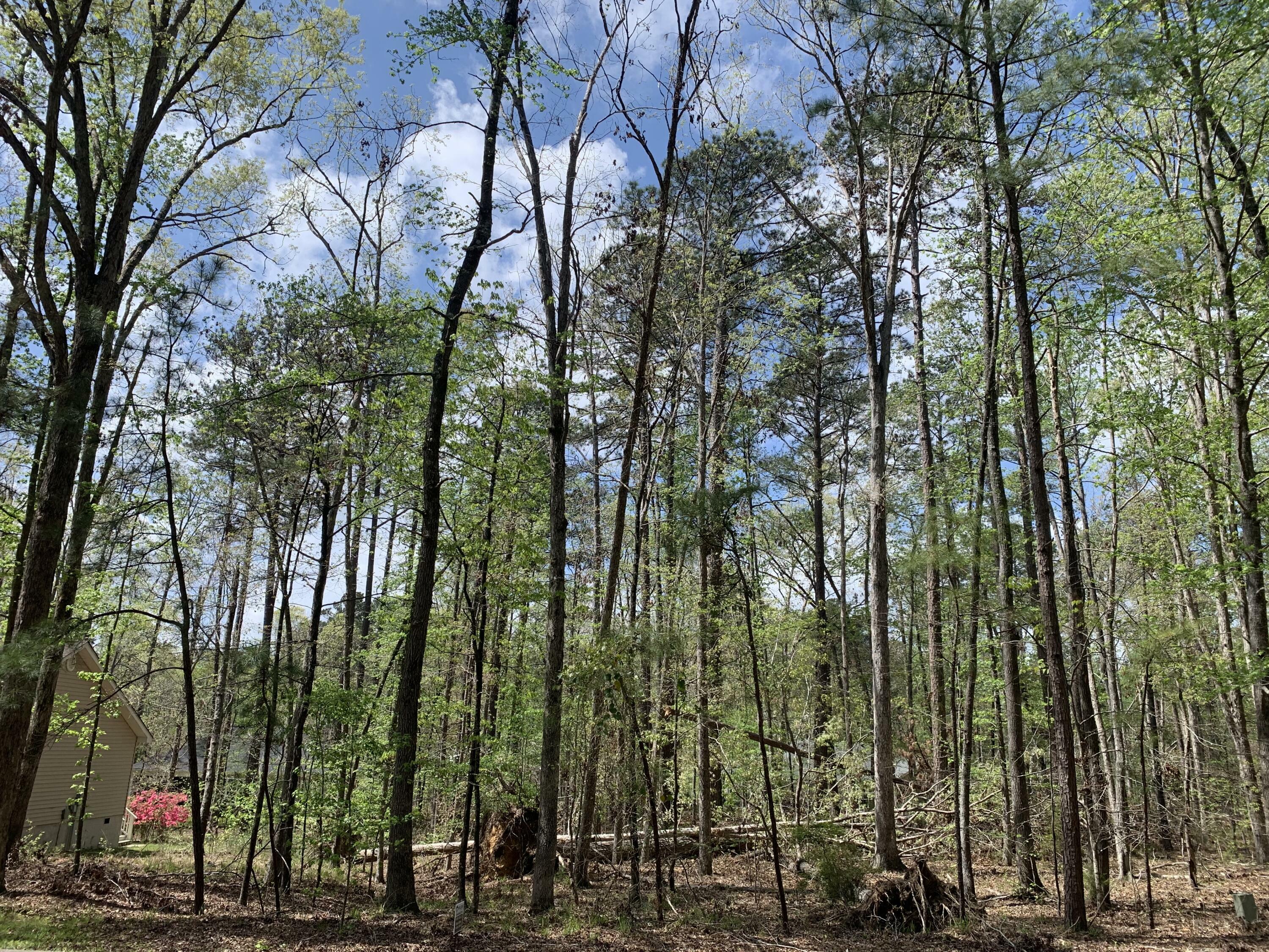 Property Photo:  111 Carriage Lane  SC 29835 