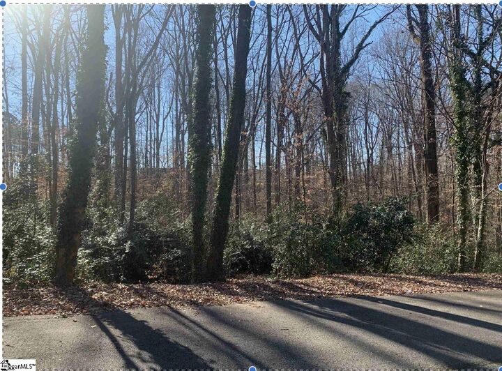 Forest Lane Drive  Gaffney SC 29340 photo