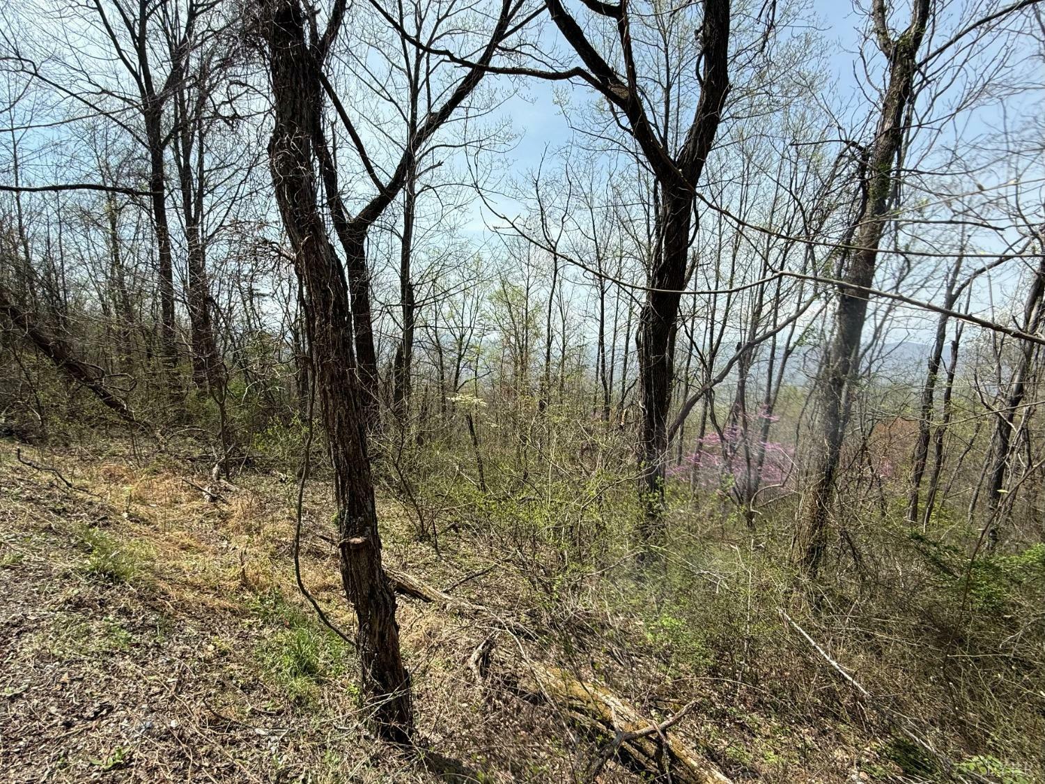 Property Photo:  0 Murray Hollow Road  VA 24174 